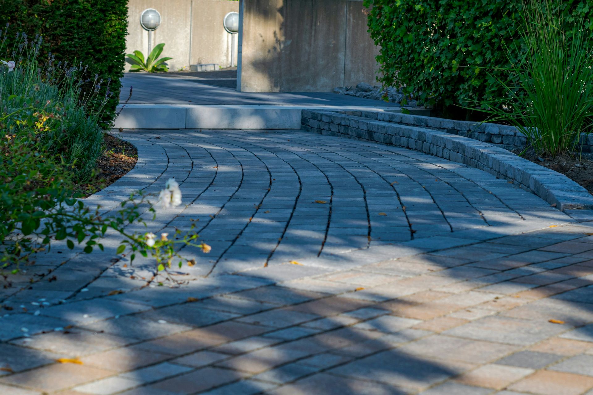 A curved paved pathway surrounded by green bushes and plants.