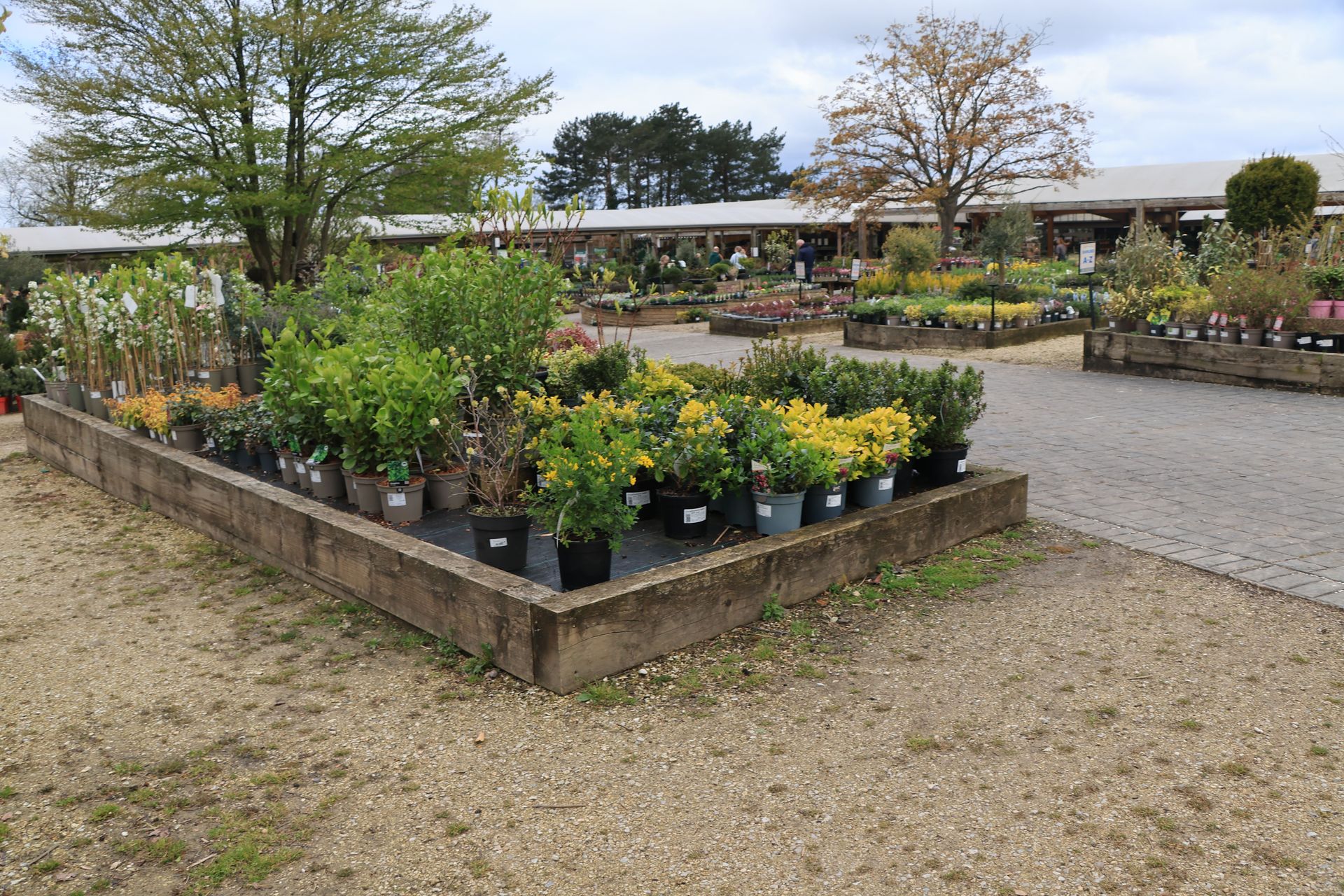 Wide view of a plant nursery with diverse greenery in pots under cloudy sky.